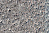Terrain Sample