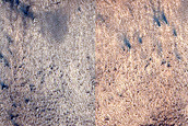 Terrain Sample