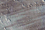 Terrain Sample
