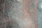 Terrain Sample