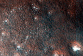 Terrain Sample