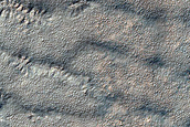 Terrain Sample