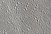 Terrain Sample