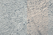 Terrain Sample