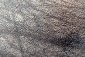 Terrain Sample