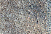 Terrain Sample