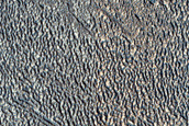 Terrain Sample