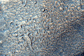 Channels in Warrego Valles