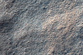 Terrain Sample