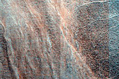 North-Facing Gullies