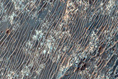 Ridges on Crater Floor in Terra Sabaea