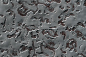 Terrain Sample