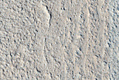 Terrain Sample