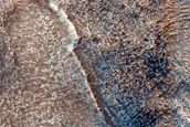 Gully Monitoring