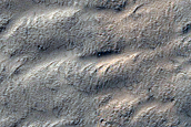 Terrain Sample