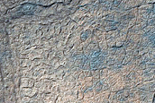 Terrain Sample