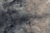 Terrain Sample