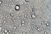 Terrain North of Tartarus Montes