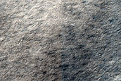 Terrain Sample