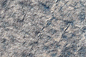 Terrain Sample