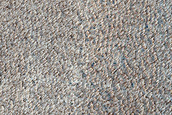 Syria Planum and Claritas Fossae Dust-Raising Event Monitoring Site