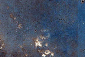 Monitoring Dust Devil Tracks