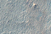 Gully Monitoring