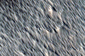 Candidate Recent Impact Site