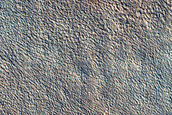 Terrain Sample