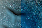 Dune Monitoring