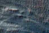 Gully Monitoring
