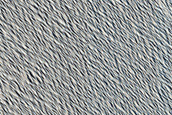 Flow Margin Contact