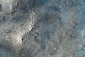 Terrain Sample