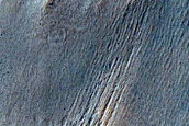 Gully Monitoring