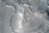 Network of Ridges in Nepenthes Mensae