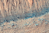 Gully Monitoring
