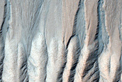 Gully Monitoring