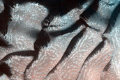 Dune Monitoring in Crater