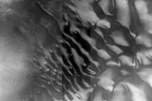 Dune Monitoring in Milankovic Crater