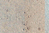Infrared Contact in Elysium Planitia