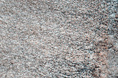 Utopia Planitia Bench Unit 