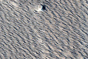 Monitoring New Impact Site