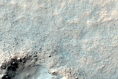Monitoring Dust Devil Tracks