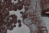South Polar Residual Cap Intraseasonal Change Monitoring