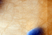 USGS Dune Database Entry Number 0675-490