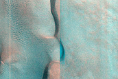 Dune Monitoring in Davies Crater