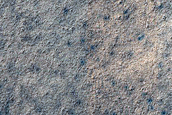 Southern High-Latitude Terrain