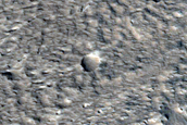 East-West Trending Feature within Northeast-Southwest Graben of Tempe Terra