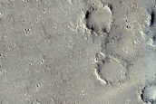 Thermally Distinct Material in Elysium Planitia