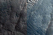 Gully Monitoring